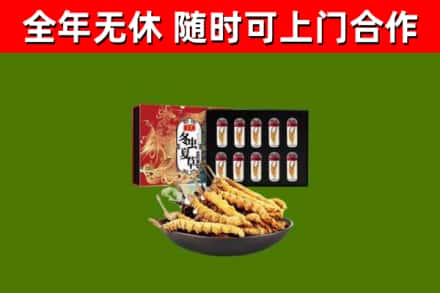 龙口回收冬虫夏草价格